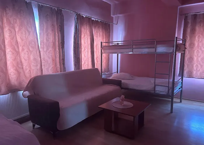 Pensiunea Vila Dana Cluj-Napoca